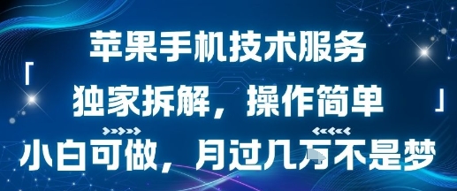苹果手机技术服务，独家拆解，操作简单，小白可做，月过1W不是梦-大齐资源站