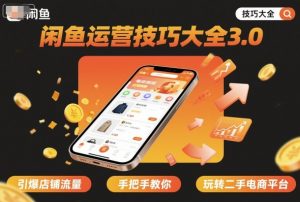 闲鱼运营技巧大全3.0,引爆店铺流量,手把手教你玩转二手电商平台-大齐资源站