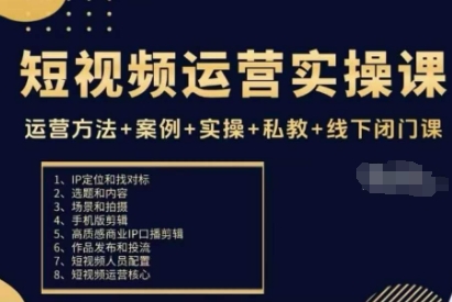 短视频运营实操课，运营方法+案例+实操+私教+线下闭门课-大齐资源站