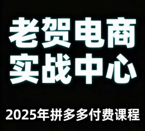 老贺电商2025年拼多多付费课程，用通俗易懂的方法告诉你多多怎么玩-大齐资源站