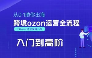 OZON入门到高阶全流程，从0-1助你出海，跨境ozon运营全流程-大齐资源站