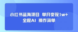 小红书蓝海项目 单月变现1w+ 全程AI 操作简单-大齐资源站