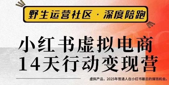 小红书虚拟电商14天变现训练营3.0，​虚拟产品，2025年普通人在小红书最后的搞钱机会-大齐资源站
