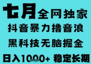 7月最新风口抖音无人直播撸音浪,长期稳定,非短期,全自动运行,低门槛无脑,日入1k+【揭秘】-大齐资源站