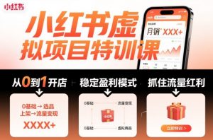 小红书虚拟项目特训课,帮你从0到1打造稳定盈利的店铺,抓住流量红利(更新9月)-大齐资源站