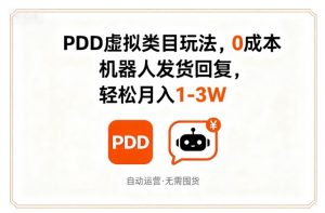 PDD虚拟类目玩法,0成本,机器人发货回复,轻松月入1-3W-大齐资源站
