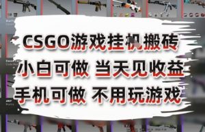 CSGO游戏挂G搬砖，小白纯手机即可操作，不用电脑打游戏，日入3张+，副业网创项目【揭秘】-大齐资源站