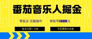 番茄音乐人掘金，单账号最高可撸1k+，可无限矩阵去做，零投入-大齐资源站