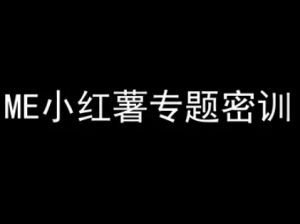 ME小红薯专题密训-小红书电商教程-大齐资源站