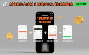 抖音发行人计划全新野路子玩法，随时随地，只要有手机，就能操作，日入1k+【揭秘】-大齐资源站