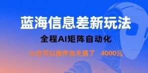 蓝海信息差新玩法，全程AI矩阵自动化小白可以操作当天搞了1k+-大齐资源站