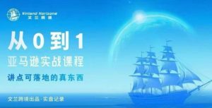 从0-1亚马逊实战课程，亚马逊从0-1，从1-10实操变现-大齐资源站