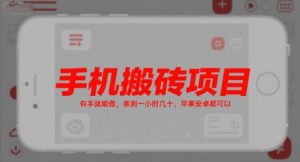 手机搬砖项目，有手就能做，亲测一小时几十，苹果安卓都可以-大齐资源站