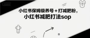 小红书保姆级养号+打减肥粉，小红书减肥打法sop-大齐资源站