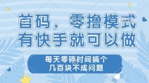 首码，零撸模式，有快手就可以做，每天零碎时间搞个几张不成问题【揭秘】-大齐资源站