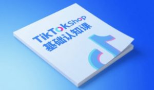TikTok小店基础认知课，助力学员从 0 到 1 掌握 TikTok 电商运营全链路认知-大齐资源站