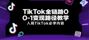 TikTok全链路0-1变现路径教学,入局TikTok必学内容-大齐资源站