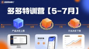 多多特训营【5-7月】产品决定上限，方法决定下限，各种玩法技巧落地实操-大齐资源站