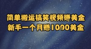 简单搬运搞笑视频挣美金,新手一个月入1k美金-大齐资源站