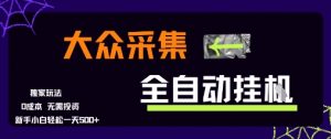 大众采集全自动玩法，新手小白轻松一天5张+，操作简单零成本【揭秘】-大齐资源站