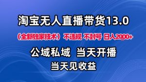 淘宝无人直播13.0，公域私域技术，不封号，不违规布局下半年旺季赛道，日入1K+（独家技术）【揭秘】-大齐资源站