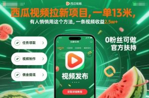 西瓜视频拉新项目，一单13米，有人悄悄用这个方法，一条视频收益2.5w+（附详细教程）-大齐资源站