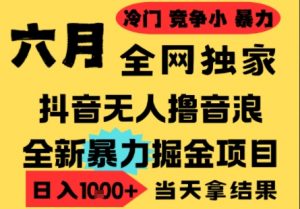 25年6月高爆抖音无人直播最新撸音浪掘金项目,小白可做,无脑日入1k+,门槛低可批量矩阵【揭秘】-大齐资源站