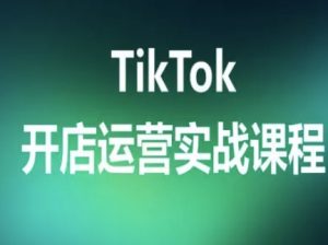 TikTok开店运营实战课程，TK跨境电商实操全流程-大齐资源站