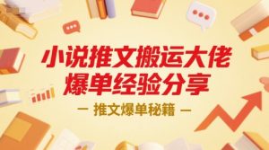 小说推文搬运大佬爆单经验分享，推文爆单秘籍-大齐资源站