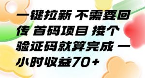 一键拉新 不需要回传 首码项目 接个验证码就算完成 一小时收益70+【揭秘】-大齐资源站