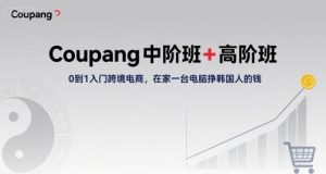 Coupang中阶班+高阶班，0到1入门跨境电商，在家一台电脑挣韩国人的钱-大齐资源站