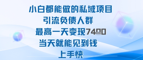 2025年小白都能做的私域项目引流负债人群最高一天变现1k+高变现难度低当天就能见到钱上手快-大齐资源站