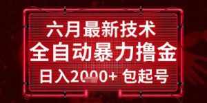 六月最新技术全自动暴力撸金,稳定日入2k+包起号,长期稳定【揭秘】-大齐资源站