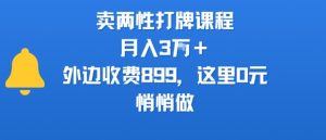 卖两性打牌课程，月入3W+外边收费899的课程，这里0元，悄悄做-大齐资源站