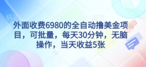 外面收费6980的全自动撸美刀项目，可批量，每天30分钟，无脑操作，当天收益5张【揭秘】-大齐资源站