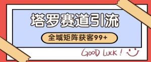 小红书某音塔罗赛道引流获客 自热矩阵日引200+【揭秘】-大齐资源站