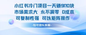 小红书冷门项目一天收益9张，市场需求大，0成本，可复制性强可以矩阵操作-大齐资源站