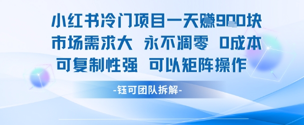 小红书冷门项目一天收益9张，市场需求大，0成本，可复制性强可以矩阵操作-大齐资源站