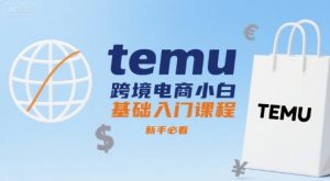 temu跨境电商小白基础入门课程，新手必看-大齐资源站