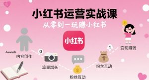 小红书运营实战课，从零到一玩賺小红书-大齐资源站
