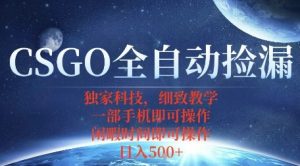CSGO自动捡漏项目,最新独家玩法,一个手机即可操作,新手小白轻松月入1W+,操作简单易上手【揭秘】-大齐资源站