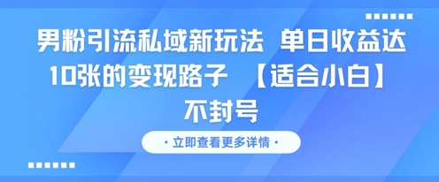男粉引流私域新玩法，单日收益达10张的变现路子 【适合小白】不封号-大齐资源站