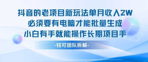 老项目新玩法单月收入2W小白有手就能操作长期项目-大齐资源站