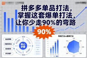 拼多多单品打法,掌握这套爆单打法,让你少走90%的弯路-大齐资源站