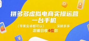 拼多多虚拟电商实操运营,一台手机(苹果安卓都可以),深耕多多店铺日收4位数-大齐资源站