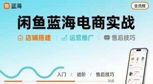 闲鱼蓝海电商实战，店铺搭建运营售后全流程-大齐资源站