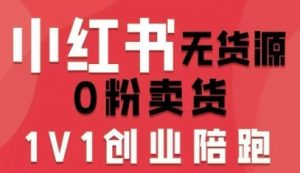 小红书无货源0粉电商课,开店准备、选品策略、笔记撰写、视频剪辑、数据分析、账号打造、资料文档-大齐资源站