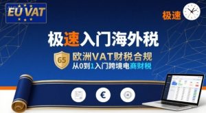 极速入门海外税，欧洲VAT财税合规，从0到1入门跨境电商财税-大齐资源站