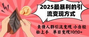 2025年最暴利的引流变现方式，负债人群引流变现，小白轻松上手，日入1k-大齐资源站