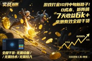 游戏打金10月中旬新路子！0成本、矩阵搞，7天收益6k+，亲测有效全程干货【揭秘】-大齐资源站